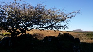 20150103_130521